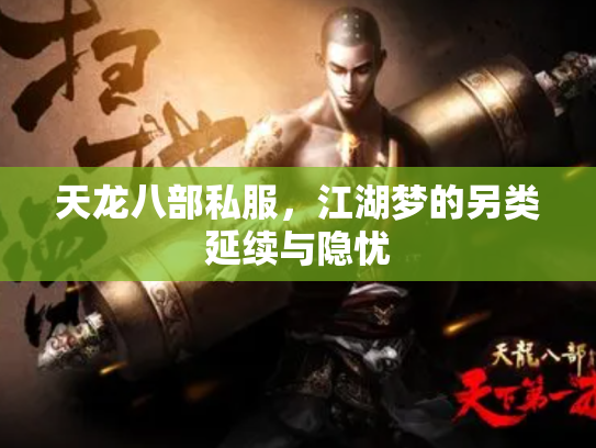 天龙八部私服，江湖梦的另类延续与隐忧