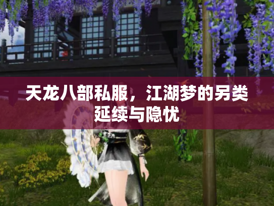 天龙八部私服，江湖梦的另类延续与隐忧