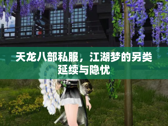 天龙八部私服，江湖梦的另类延续与隐忧