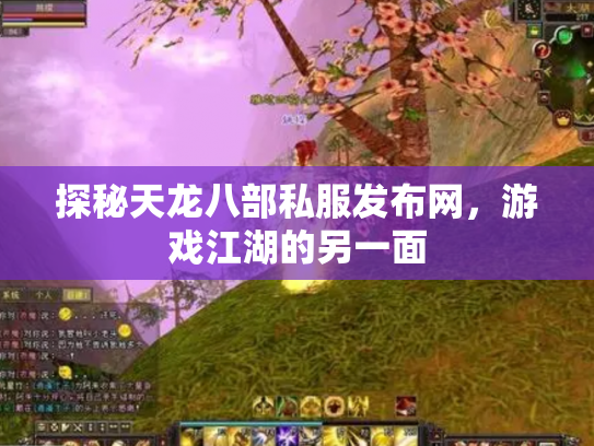 探秘天龙八部私服发布网，游戏江湖的另一面