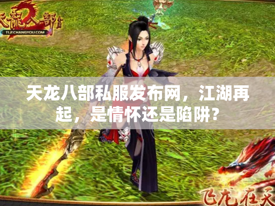 天龙八部私服发布网，江湖再起，是情怀还是陷阱？