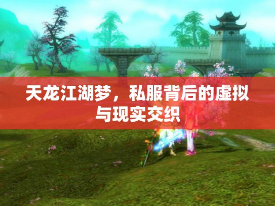 天龙江湖梦，私服背后的虚拟与现实交织