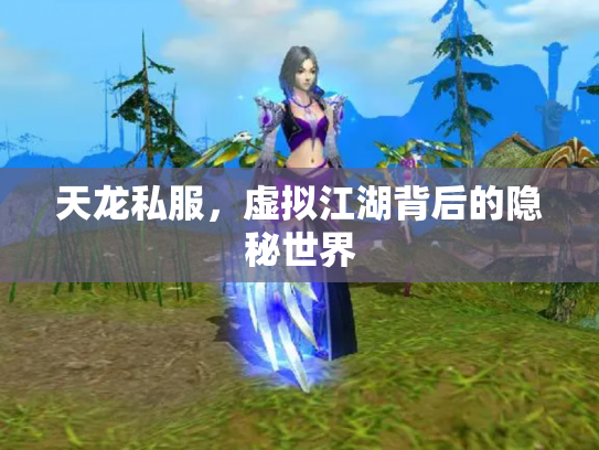 天龙私服，虚拟江湖背后的隐秘世界