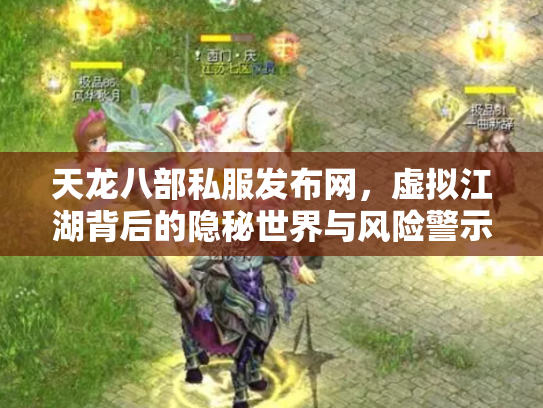 天龙八部私服发布网，虚拟江湖背后的隐秘世界与风险警示