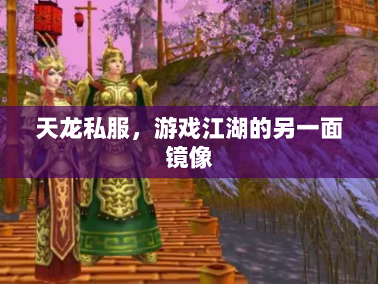 天龙私服，游戏江湖的另一面镜像