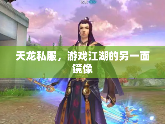 天龙私服，游戏江湖的另一面镜像
