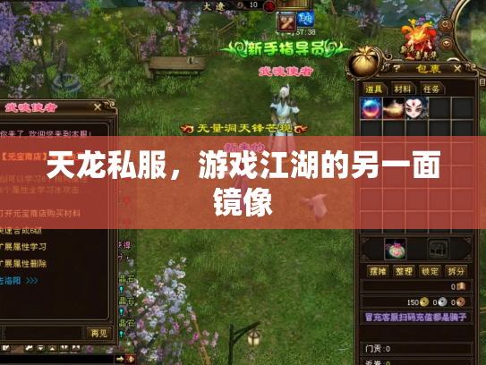 天龙私服，游戏江湖的另一面镜像