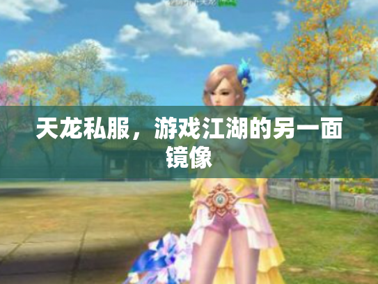 天龙私服，游戏江湖的另一面镜像