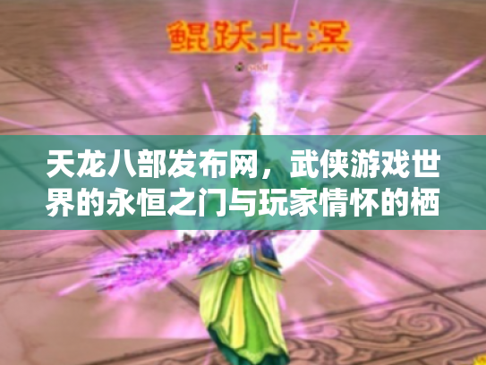 天龙八部发布网，武侠游戏世界的永恒之门与玩家情怀的栖息地