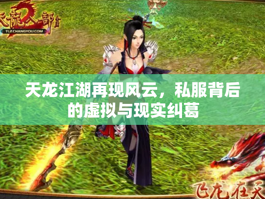 天龙江湖再现风云，私服背后的虚拟与现实纠葛