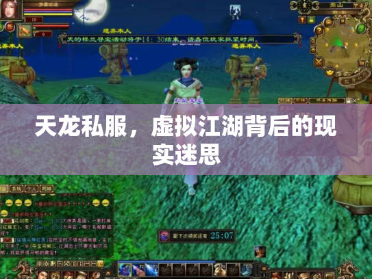 天龙私服，虚拟江湖背后的现实迷思