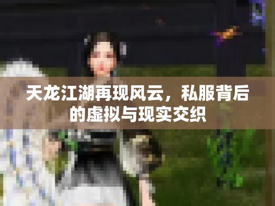 天龙江湖再现风云，私服背后的虚拟与现实交织
