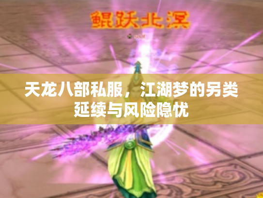 天龙八部私服，江湖梦的另类延续与风险隐忧