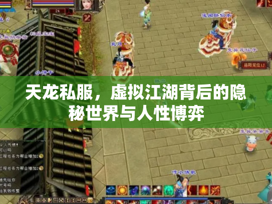 天龙私服，虚拟江湖背后的隐秘世界与人性博弈