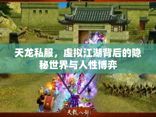 天龙私服，虚拟江湖背后的隐秘世界与人性博弈