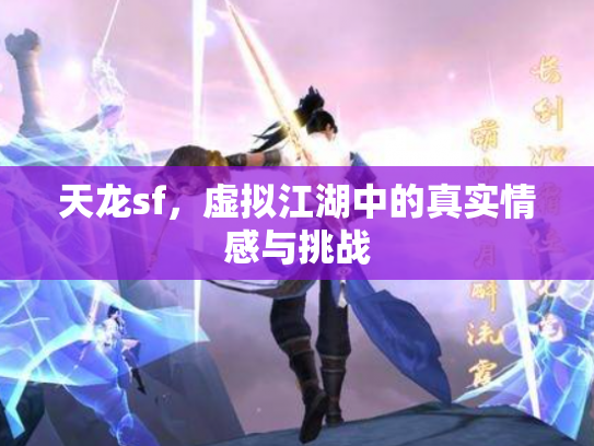 天龙sf，虚拟江湖中的真实情感与挑战