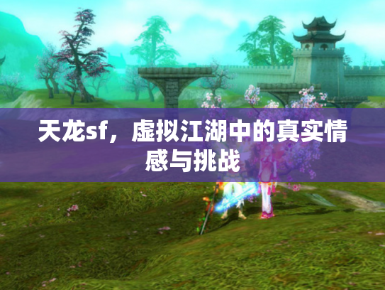 天龙sf，虚拟江湖中的真实情感与挑战