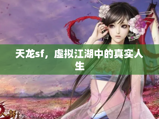 天龙sf，虚拟江湖中的真实人生