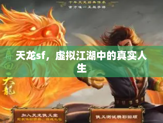 天龙sf，虚拟江湖中的真实人生