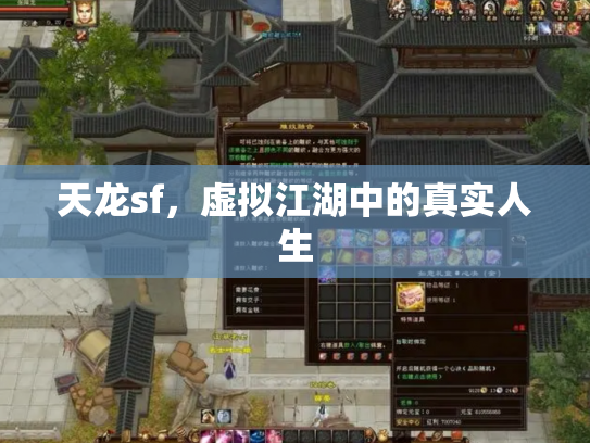 天龙sf，虚拟江湖中的真实人生
