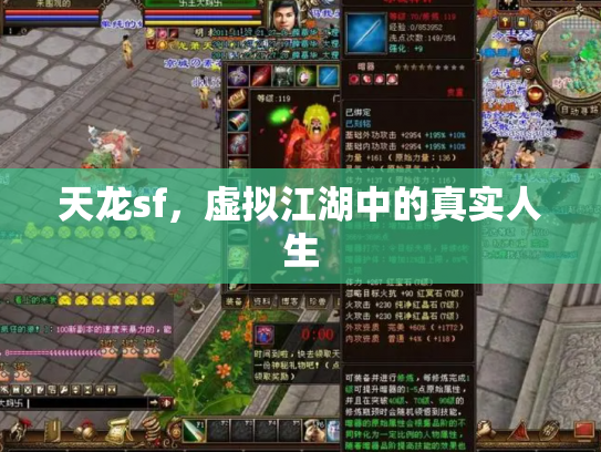 天龙sf，虚拟江湖中的真实人生