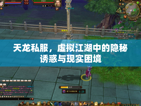 天龙私服，虚拟江湖中的隐秘诱惑与现实困境