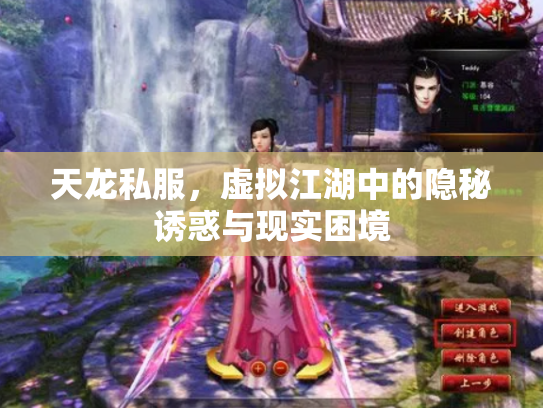 天龙私服，虚拟江湖中的隐秘诱惑与现实困境