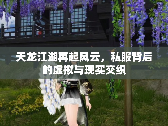 天龙江湖再起风云，私服背后的虚拟与现实交织