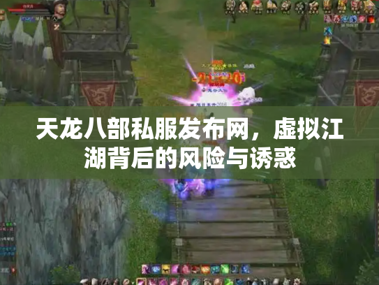 天龙八部私服发布网，虚拟江湖背后的风险与诱惑