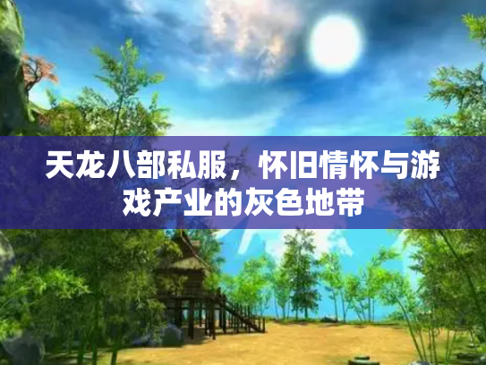 天龙八部私服，怀旧情怀与游戏产业的灰色地带