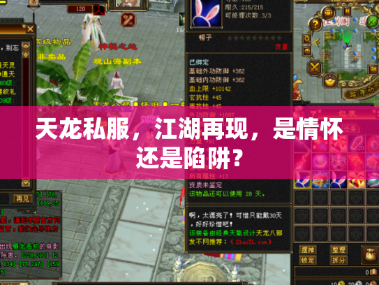 天龙私服，江湖再现，是情怀还是陷阱？