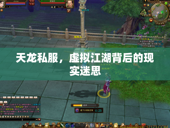 天龙私服，虚拟江湖背后的现实迷思