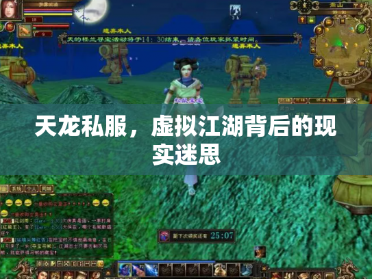 天龙私服，虚拟江湖背后的现实迷思