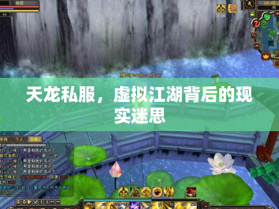 天龙私服，虚拟江湖背后的现实迷思