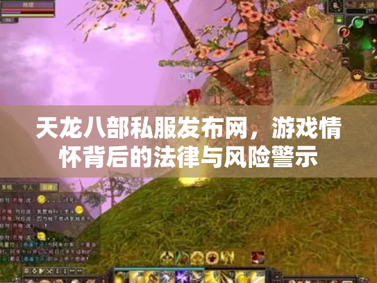 天龙八部私服发布网，游戏情怀背后的法律与风险警示