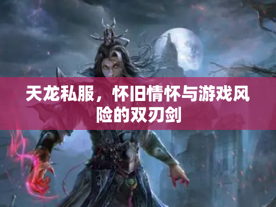 天龙私服，怀旧情怀与游戏风险的双刃剑
