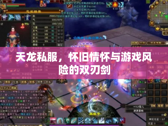 天龙私服，怀旧情怀与游戏风险的双刃剑