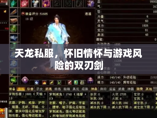 天龙私服，怀旧情怀与游戏风险的双刃剑