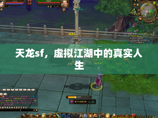 天龙sf，虚拟江湖中的真实人生
