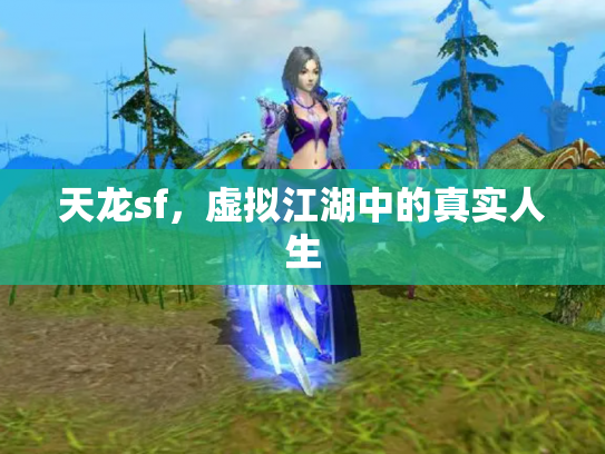 天龙sf，虚拟江湖中的真实人生