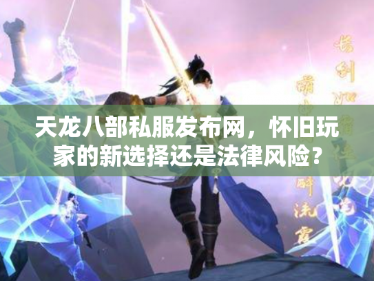 天龙八部私服发布网，怀旧玩家的新选择还是法律风险？