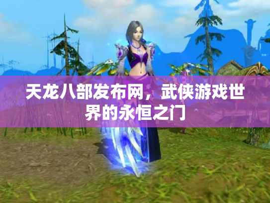 天龙八部发布网，武侠游戏世界的永恒之门