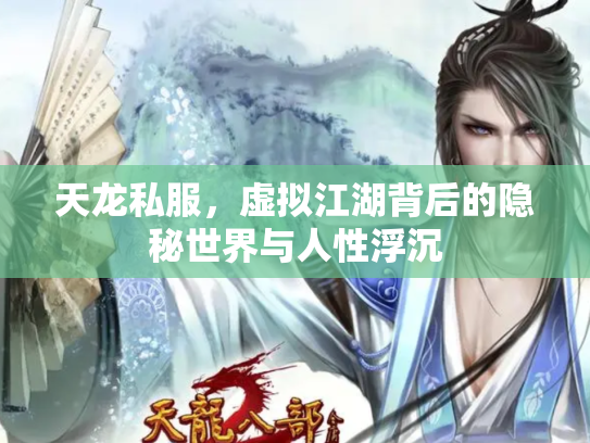天龙私服，虚拟江湖背后的隐秘世界与人性浮沉