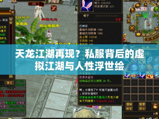 天龙江湖再现？私服背后的虚拟江湖与人性浮世绘