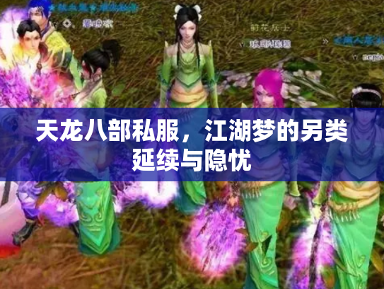 天龙八部私服，江湖梦的另类延续与隐忧