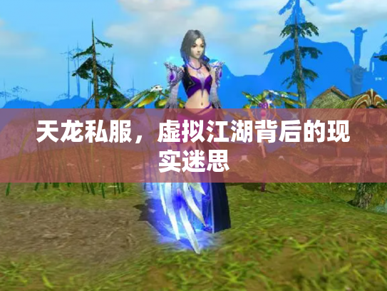 天龙私服，虚拟江湖背后的现实迷思