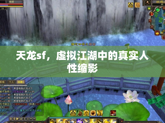 天龙sf，虚拟江湖中的真实人性缩影