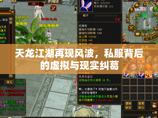 天龙江湖再现风波，私服背后的虚拟与现实纠葛
