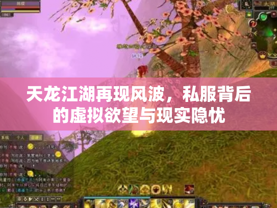 天龙江湖再现风波，私服背后的虚拟欲望与现实隐忧