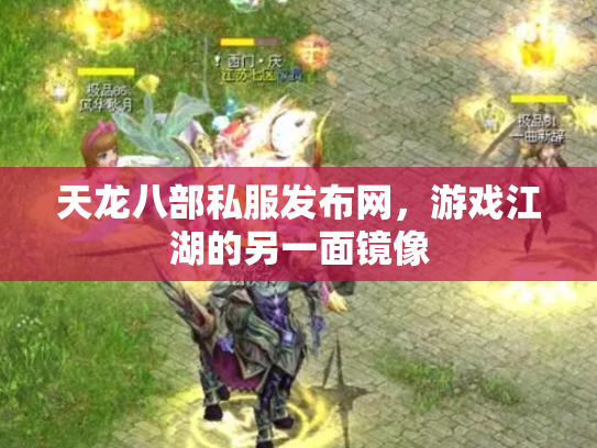 天龙八部私服发布网，游戏江湖的另一面镜像